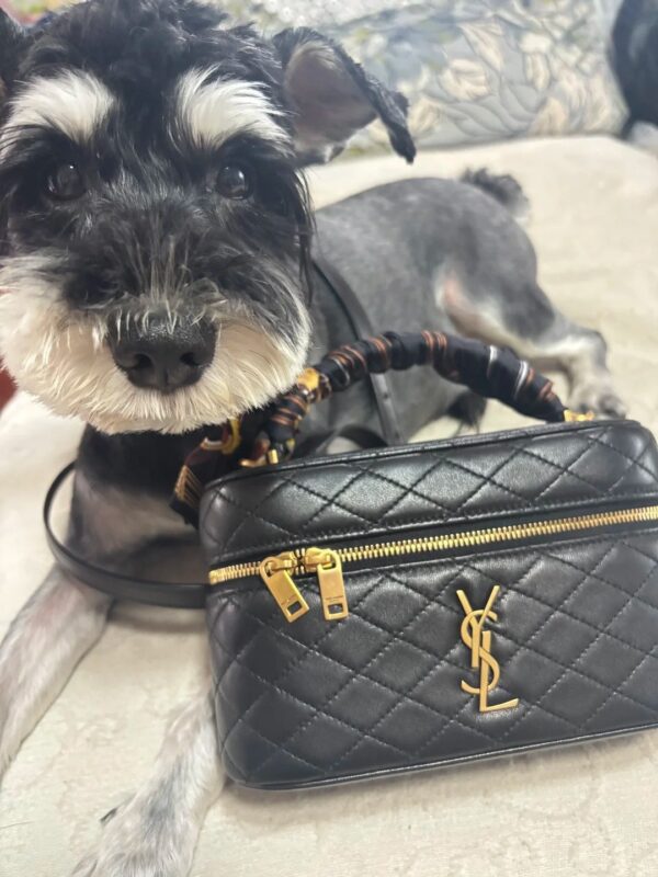 Image #1 from Leslie Schuster